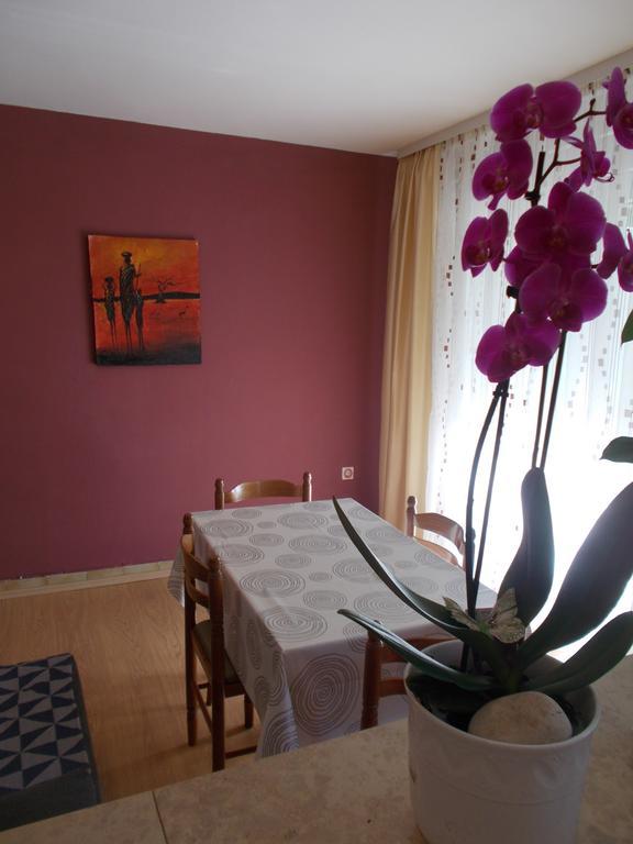 Apartments Sara Labin  Kültér fotó